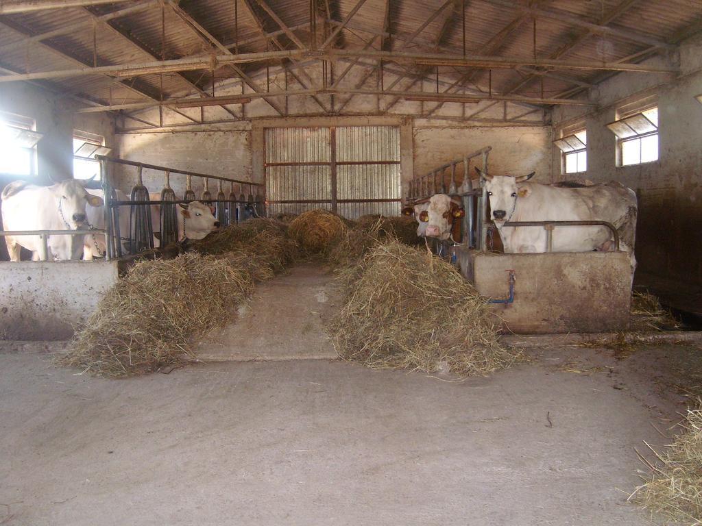 Fattoria Del Quondam Βίλα Giano dellʼUmbria Εξωτερικό φωτογραφία