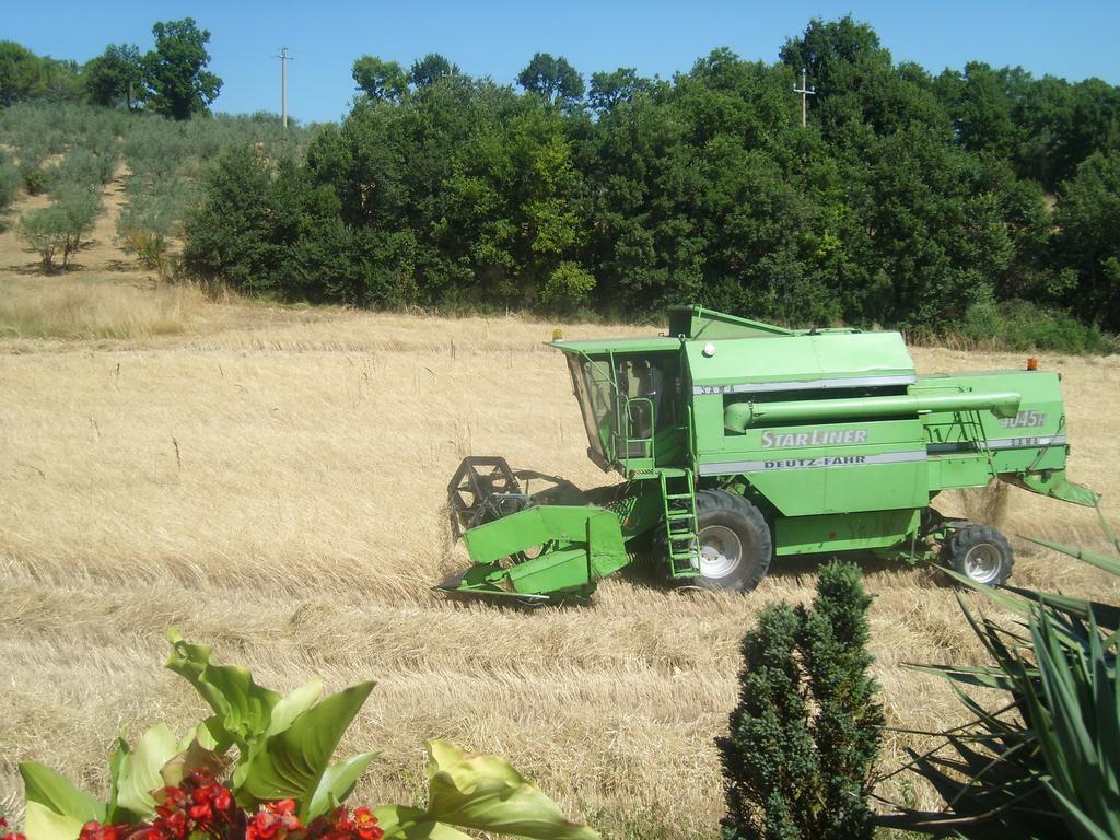 Fattoria Del Quondam Βίλα Giano dellʼUmbria Εξωτερικό φωτογραφία